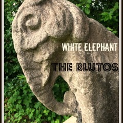 White Elephant