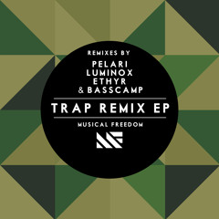 Sandro Silva & Quintino - Epic (Luminox Remix)