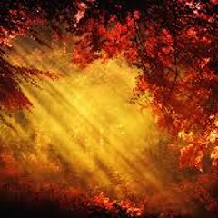 But For Me by Jasna Ilic feat Roth Whyler