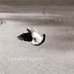 Farewell, Pigeon