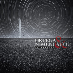 Sociopat Records - ORTEGA & Nimeni Altu' -  N SURDIN  - 13 Ortega & Nimeni Altu' - Probabil