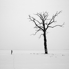 Lunatic - Ahmad Pejman