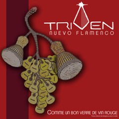 Triven nuevo flamenco - EXCLUSIVITÉ LA VALLÉE - bientôt disponible - Shymer -