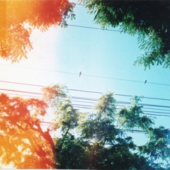 ימים חולפים (סקיצה)