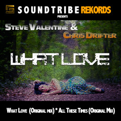 Steve Valentine & Chris Drifter - What Love (Original Mix)