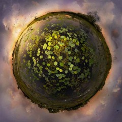 The View From The Afternoon - Arctic Monkeys (Cover)