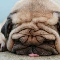 Torete (Cover) - Moonstar 88