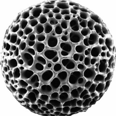 Countdown to Kill [2005]