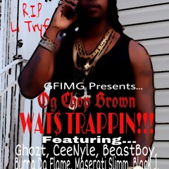 Wats Trappin!!!