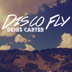 Disco Fly ( Original mix )
