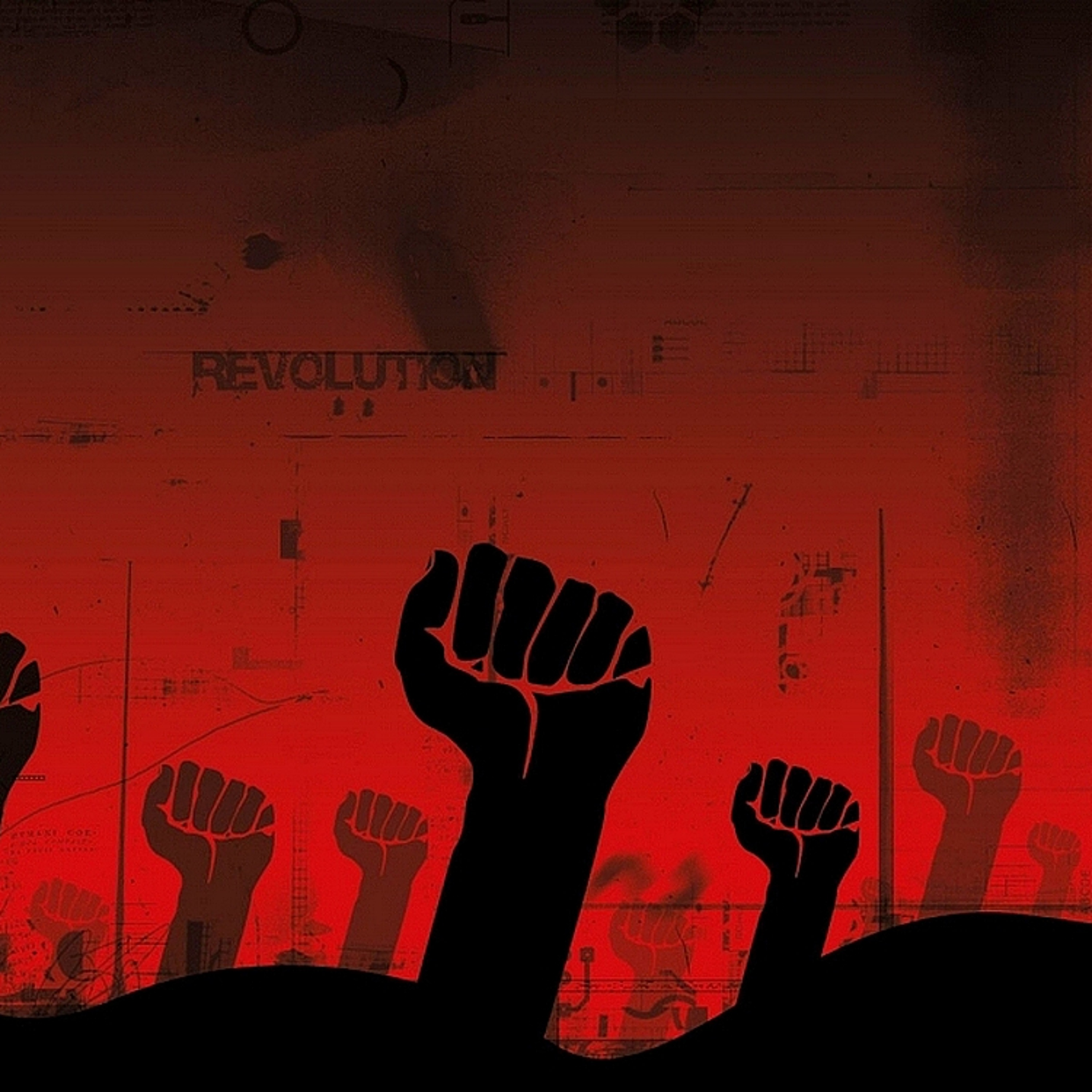 Black Fist Revolution