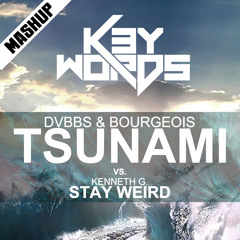 DVBBS & Bourgeois vs. Kenneth G. - Tsunami Stay Weird (k3ywords mashup preview 2013)