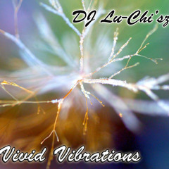 Vivid Vibrations (2013)