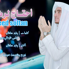 أحتاج لرضاك - وليد سلطان