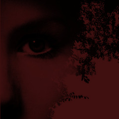 Murray Sandmeyer - 'Core Beta C'