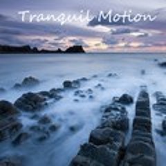 Spikey B & Spidey - Tranquil Motion (VIP) (FREE 320)
