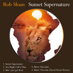 Rob Sloan - You Might Call It That