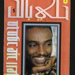 محمود عبد العزيز - النهايات