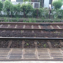 有栖川
