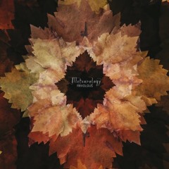 Serenade des excentriques - Frivolous