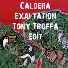 Exaltation-Caldera-Tony Troffa Edit RM