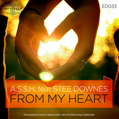 A.S.S.H. - From My Heart feat Stee Downes (No Heart Dub) [Electronique Digital]