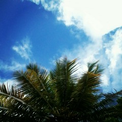 நெஞ்சோடு கலந்திடு