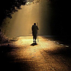 Forest Avenue - 432hz