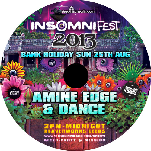 INSOMNI-FEST 2013 CLOSING PARTY | Sunday 25th August @ Beaverworks | (Mixed by Tom Garnett)