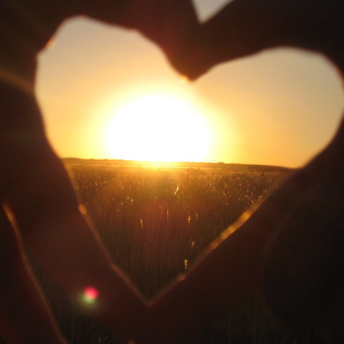 Neil Young - Heart Of Gold (Thomas Heat Golden Heart Bootleg)