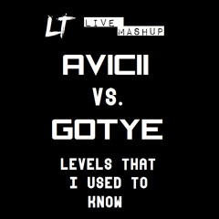 Avicii vs. Gotye - Levels that I used to know (LT Live Mashup)