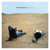 Artwork for The Head and The Heart - Shake