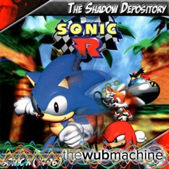 Can You Feel the Sunshine (Wub Machine Remix)