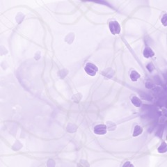 YlangYlang - Temporary Opalescent Death