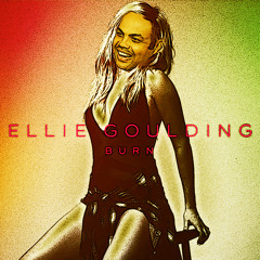 Slam And Burn (Quad City DJs Vs. Ellie Goulding)