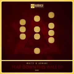 Waite & Armani - Tear Down This Wall (Sample)