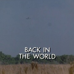 Gina Calabrese - Back in the world