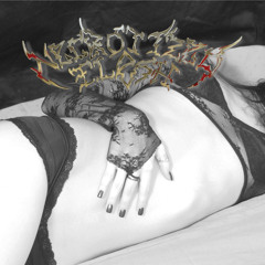 Echoes - (from unreleased "Unmitigated Gall" Demo 2010)