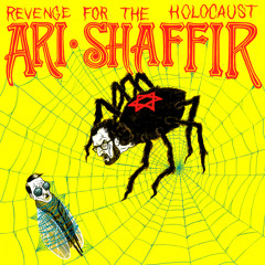 Ari Shaffir - Elevator Racism
