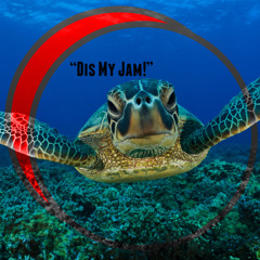 Turtle Jam