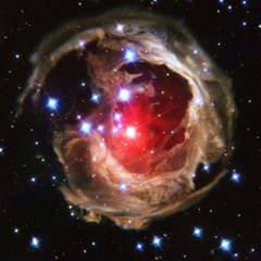 Bridge Collapse Remix With Chicken