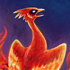 Live @ 3 Degrees 2013: Phoenix Rising