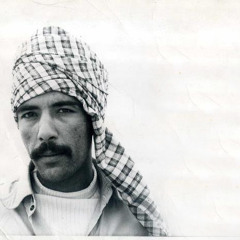 Rmazon | ali habibzaheh