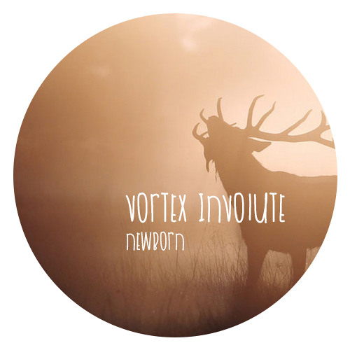 Катя чехова vortex involute