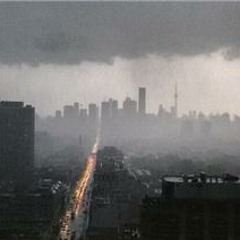 Plum's Orchard - where the music is always ripe