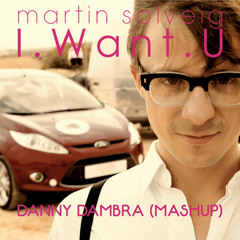 Martin Solveig - I Want you (Danny Dambra Mashup)