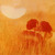 Artwork for Bobby Goldsboro - Summer (The First Time) (Ole Smokey's Demon Sun Edit)