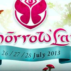 MauroPicotto@TomorrowLand2013