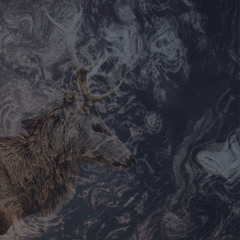 Nocow - Mist