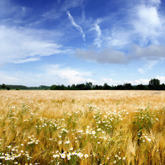 Summer Days (Original Mix)